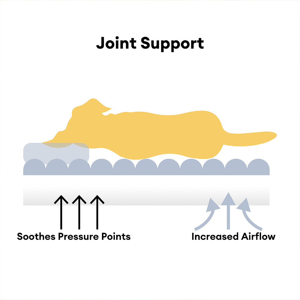 Large Washable Fluffy Orthopedic Dog Sofa Bed — Ultimate Comfort &Support