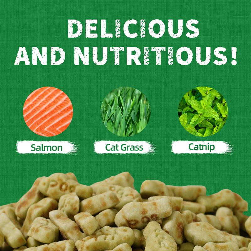 Natural Catnip Cat Grass Treats — Tasty, Functional & Healthy