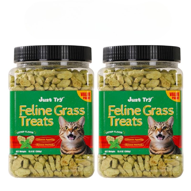 Natural Catnip Cat Grass Treats — Tasty, Functional & Healthy