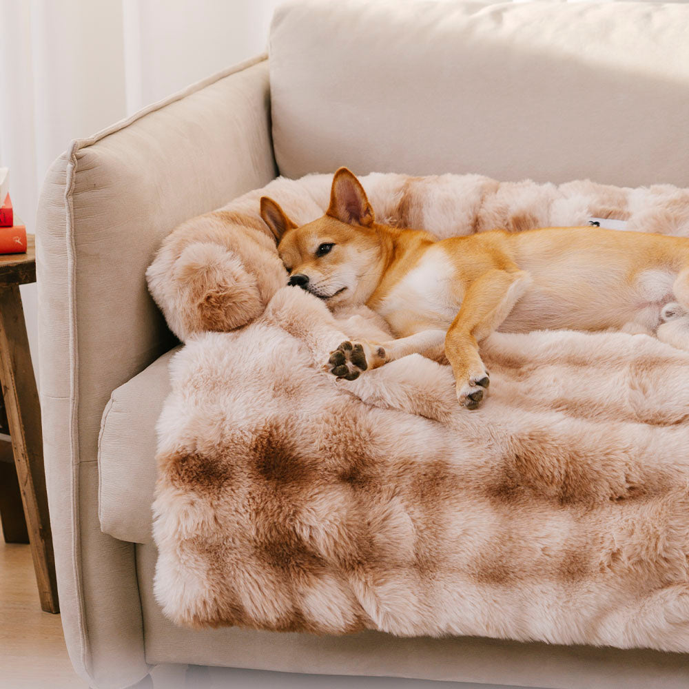 Fluffy Fuzzy Calming Dog Bed & Sofa Protector — Comfort Meets Style