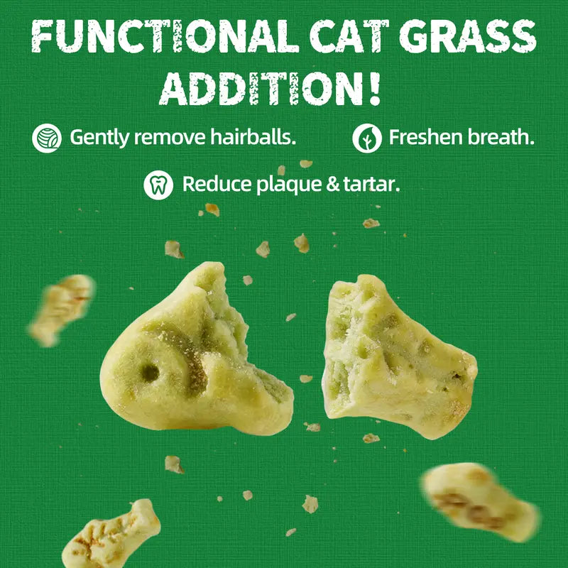 Natural Catnip Cat Grass Treats — Tasty, Functional & Healthy