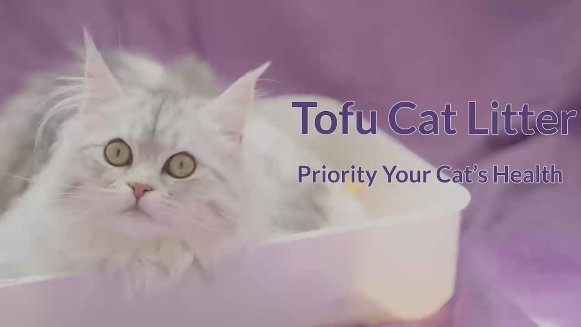 Tofu Cat Litter — Natural, Clumping & Flushable